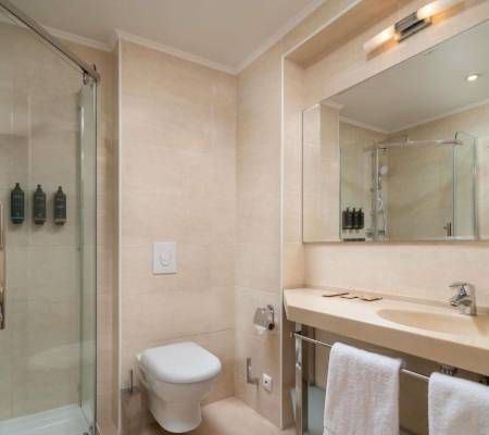 Privilege Double Room with Sofa Bed and City View